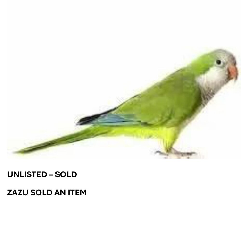 🦜UNLISTED ITEM FROM MEL'S CLOSET🦜